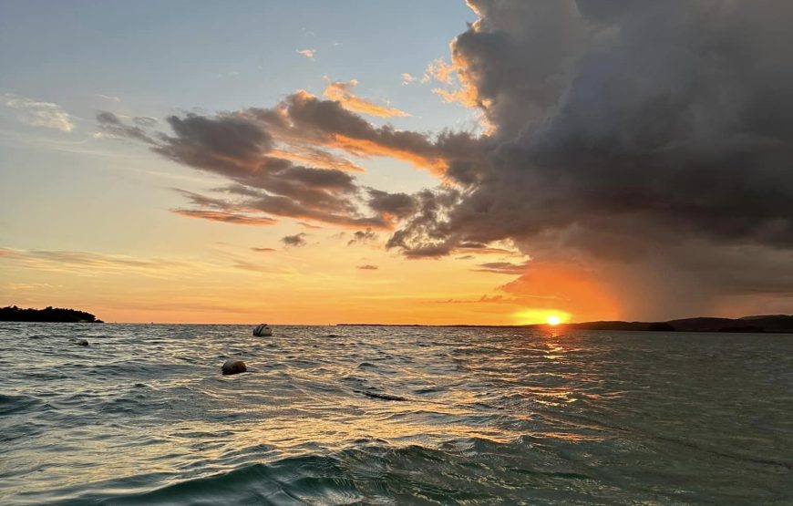 Fun Day! Yauco, Caracoles Cay & La Parguera Bio Bay Tour