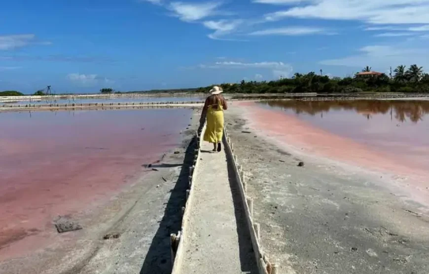 Fun Day! Yauco, Caracoles Cay & La Parguera Bio Bay Tour